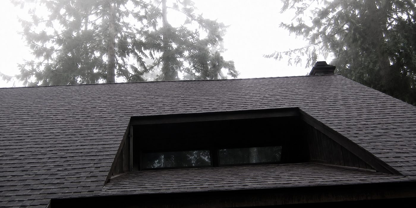 Portland roof after JNR moss treatment — clean shingles