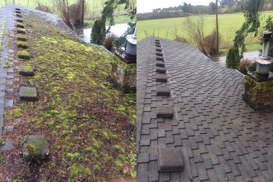 Side-by-side before and after of Evelyn's roof edge — heavy moss and leaf litter on the left, clean shingles on the right, open field in the background