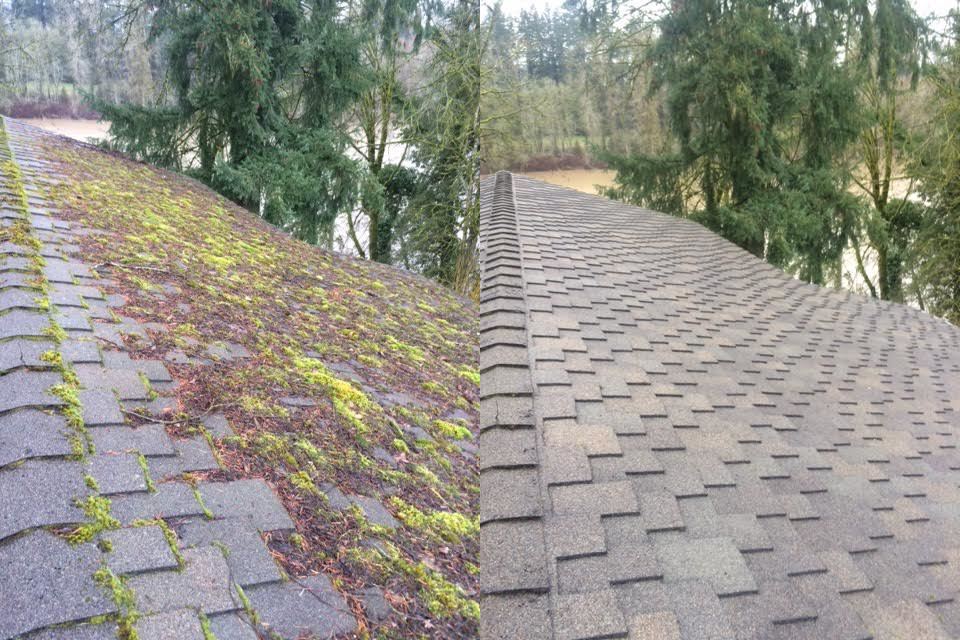 Side-by-side before and after of Evelyn's roof ridge — moss growth on the left, clean shingles on the right, trees and water in the background
