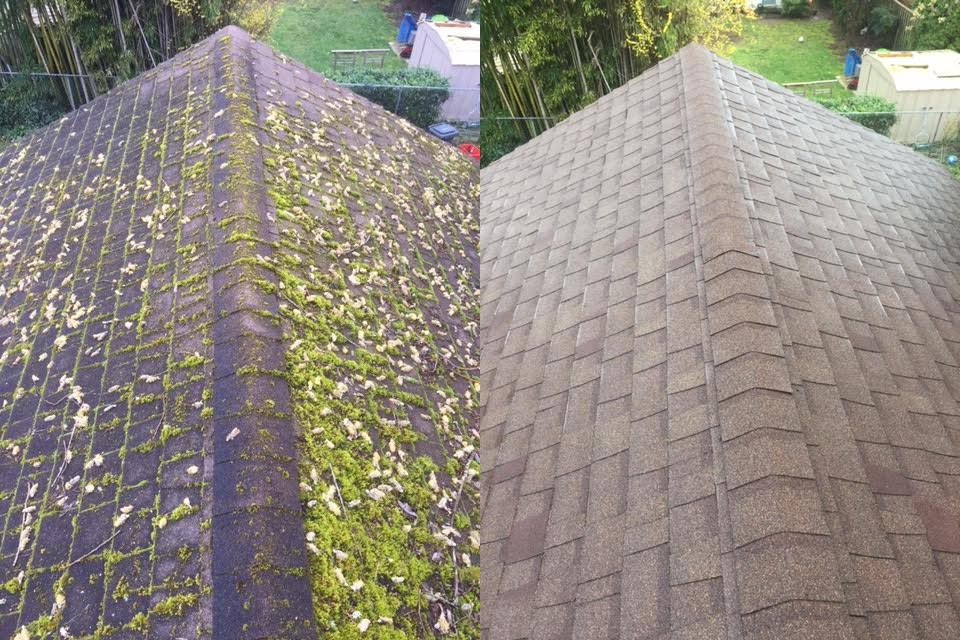 Side-by-side before and after of Jody's composition shingle hip roof — moss and debris packed along the ridge on the left, clean shingles on the right