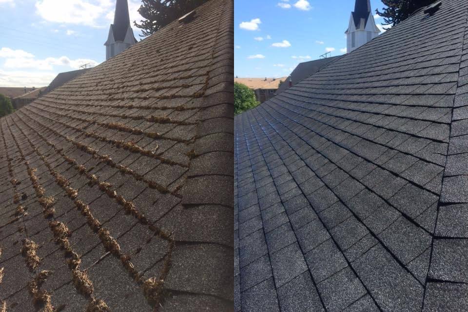 Side-by-side before and after of a steep valley roof — thick moss on the left half, fully clean shingles on the right, blue sky and a church steeple in the background