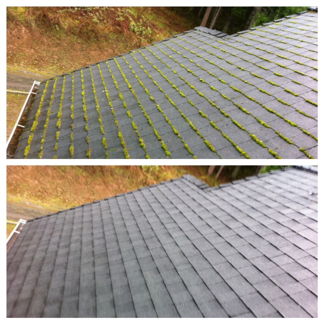 Stacked before and after photo of a Portland roof — moss-striped shingles above, fully clean below