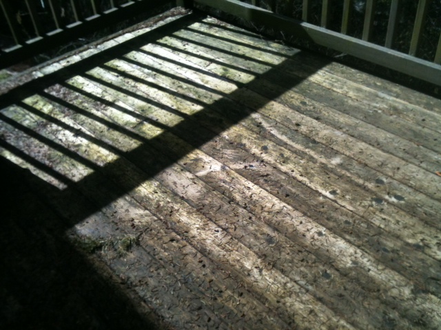 Wood deck boards covered in dirt and mildew before pressure washing