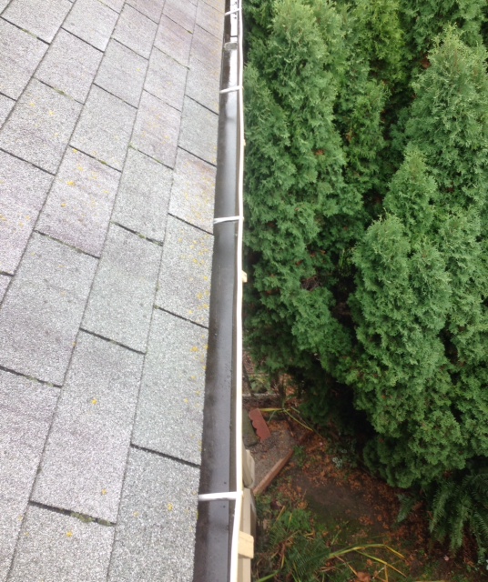Clear gutter channel along a composition shingle roof next to a cedar hedge