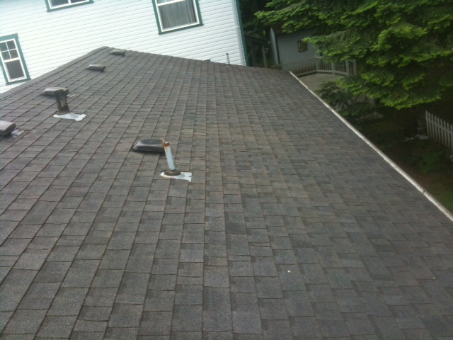 Shaded roofline under a mature tree canopy showing early debris buildup near the tree-facing edge