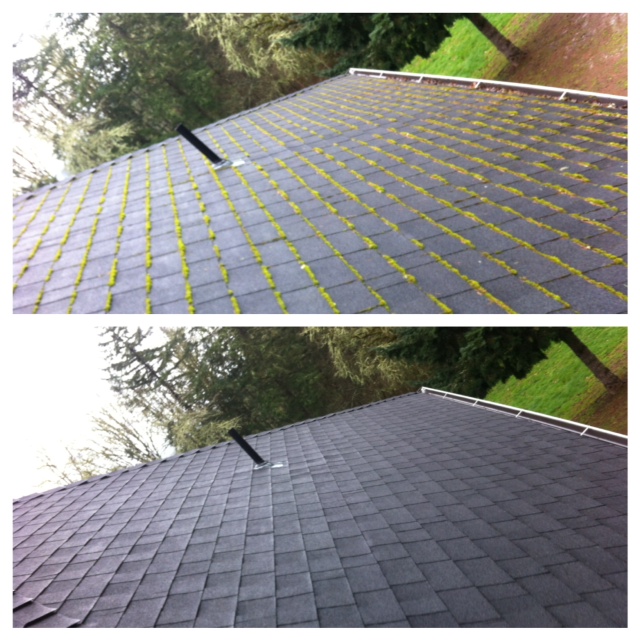 Stacked before and after photo of a gray composition shingle roof — moss-striped rows above, fully clean below