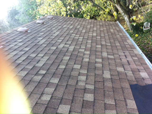 Portland composition roof after JNR cleaning and treatment