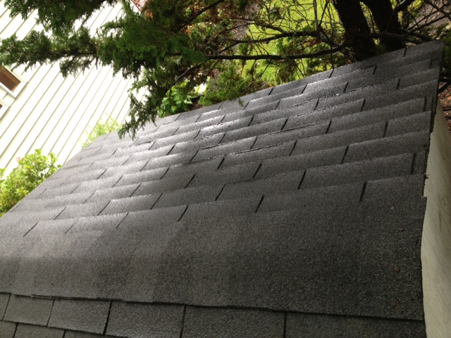 Same roofline after cleaning, dark shingles clear of moss and trimmed back from the branches