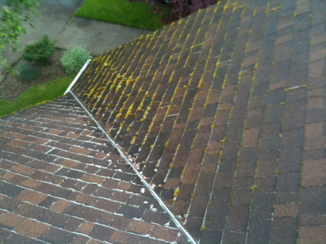 Roof valley streaked with moss buildup, before cleaning